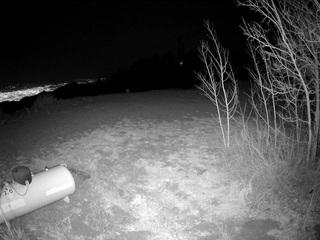 Mount Lemmon Camera 1